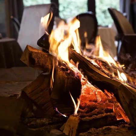 酒店 勒贝农酒店 3*